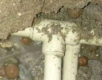 特克斯测漏水多少钱