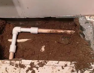 特克斯测漏水哪家好