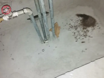 特克斯卫生间测漏水价格明细