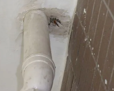 特克斯漏水检测哪家好